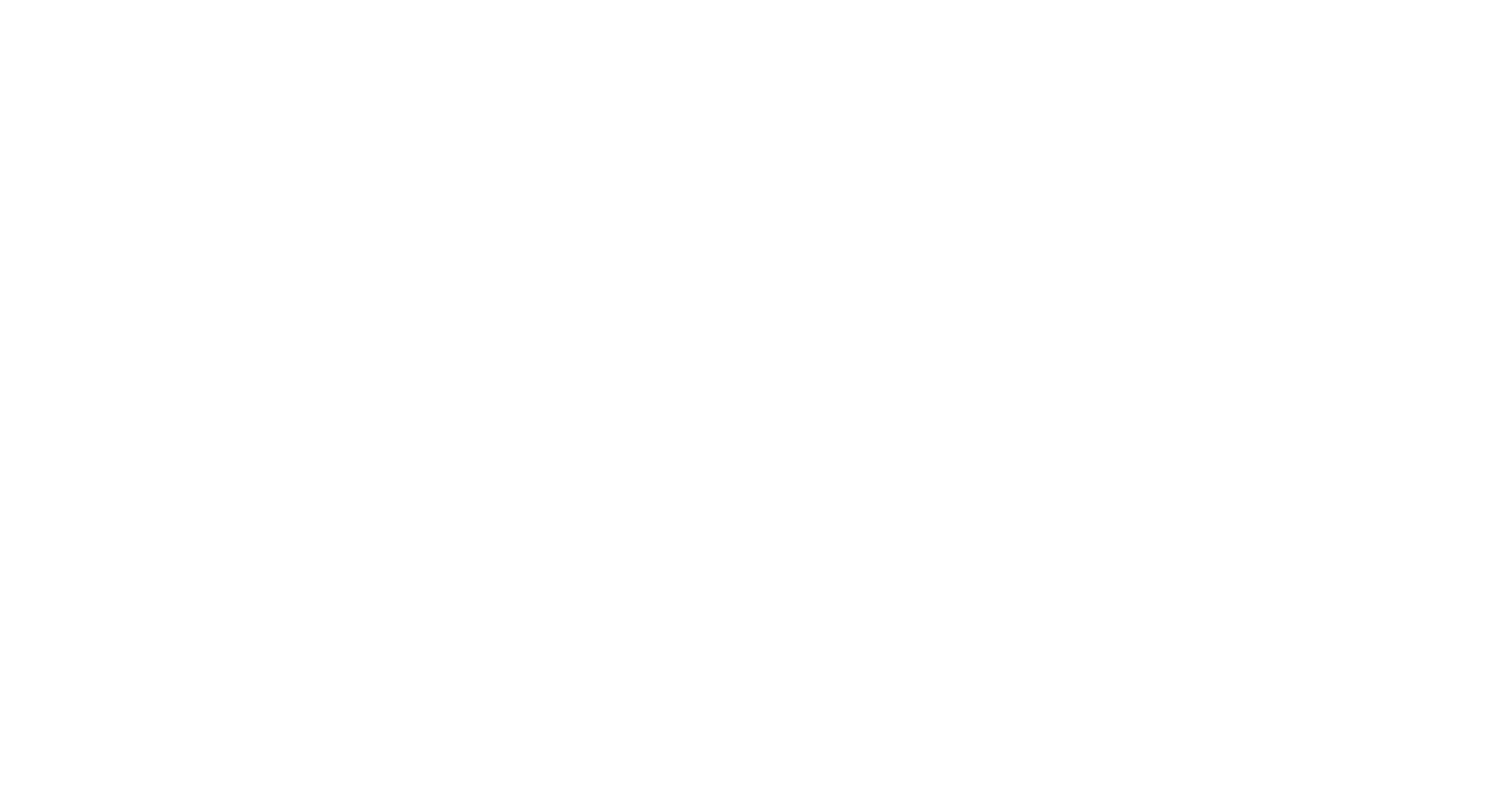 AIM ATTITUDE 