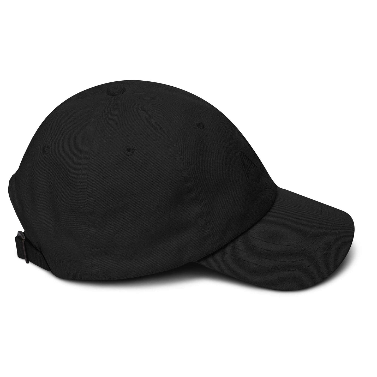 AIM | Dad hat