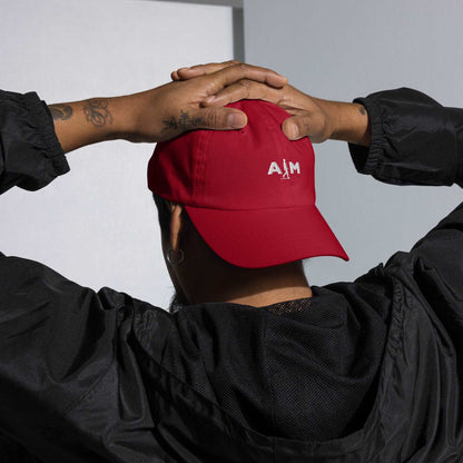 AIM Attitude | Dad hat