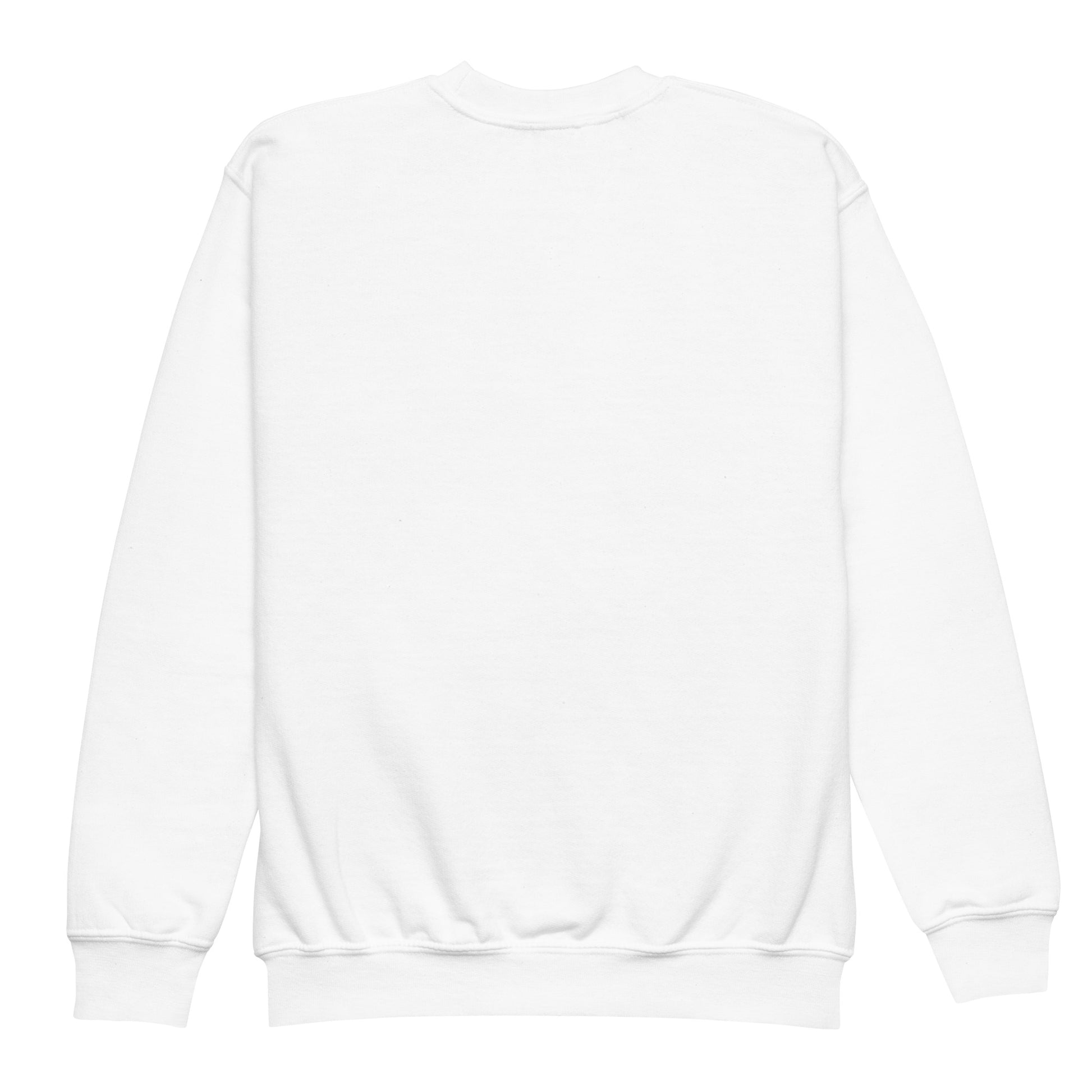 Thonov - AIMComics | Youth crewneck sweatshirt - AIM ATTITUDE 