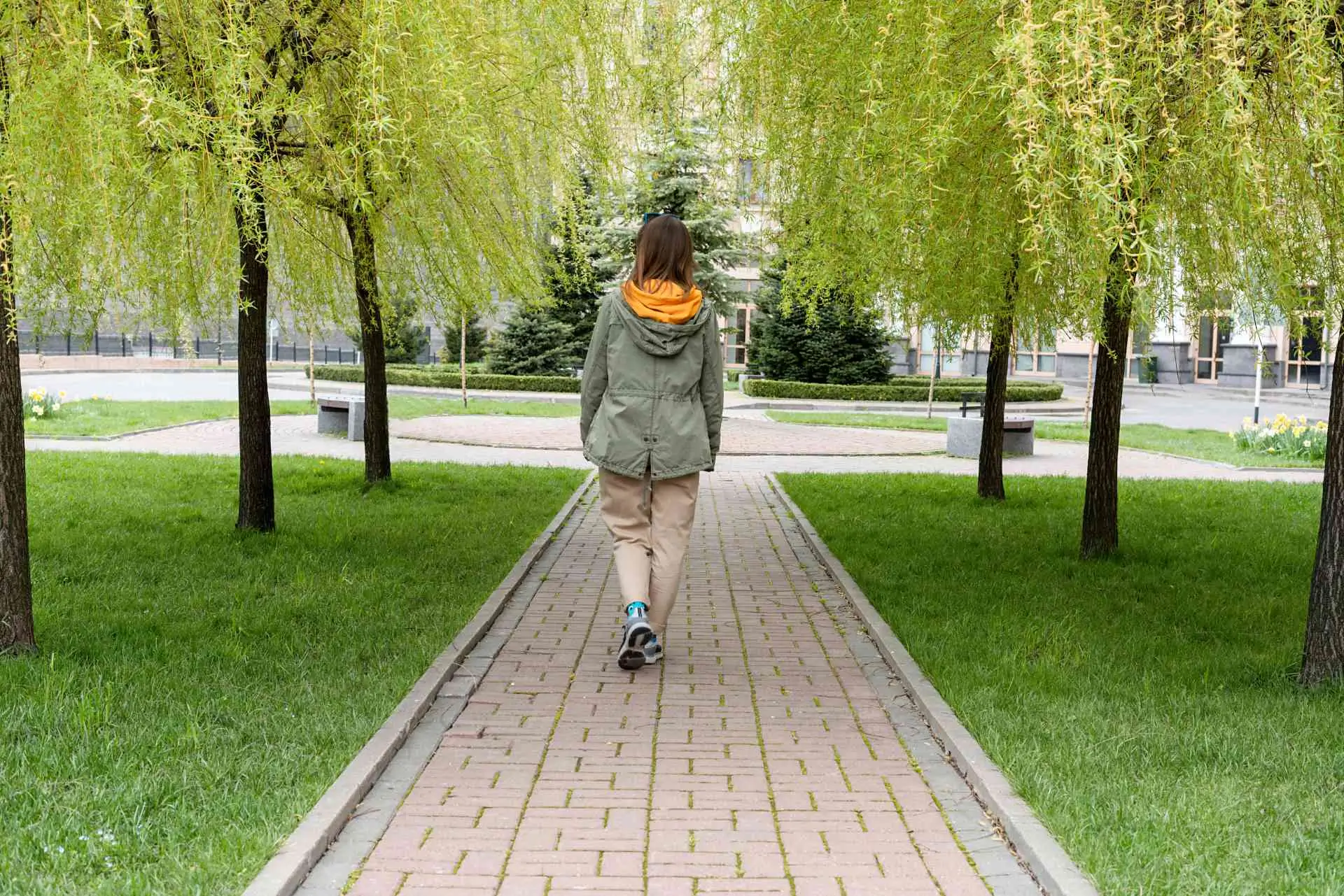 A rear view of a young woman walking down a serene, tree-lined path, embodying the forward movement and personal growth associated with positive change.